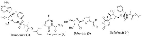 Figure 4 Polymerase inhibitors structure to fight COVID-19.