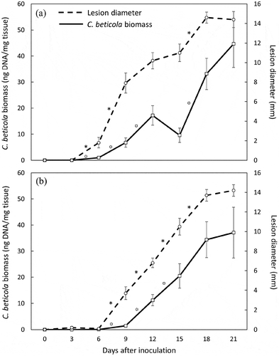 Fig. 3 Lesion diameter and Cercospora beticola biomass over 21 days on inoculated ‘Ruby Queen’ table beet leaves in two replicated experiments (a and b). Means (n = 10) for adjacent time points were compared using a Wilcoxon signed rank test for lesion diameters and a paired t-test for C. beticola biomass (log [x + 1] transformed). Bars represent the standard error, an asterisk indicates a significant difference in lesion diameters between time points and a star indicates a significant difference in C. beticola biomass between time points (P < 0.05).