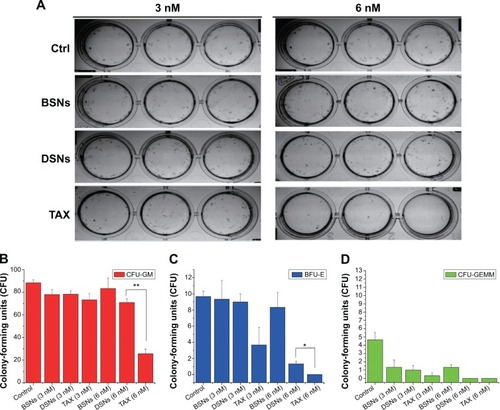 Figure 6 The hematopoietic recovery effect of docetaxel-loaded solid lipid nanoparticles.Notes: Bone marrow cells from mice were incubated with blank solid lipid nanoparticles, docetaxel-loaded solid lipid nanoparticles, or Taxotere® at 3 nM or 6 nM for 9 days in methylcellulose-based media. Mock-treated cells were used as the control. Optical photos show the microscopic colonies that formed in a 24-well plate (A). Colonies of colony forming units that generate granulocytes and macrophages (B), burst-forming units that generate erythroids (C), and colony forming units that generate granulocytes, erythroids, macrophages, and megakaryocytes (D) were counted using an inverted microscope. The data are presented as mean ± standard error from three experiments. *P<0.05. **P<0.01.Abbreviations: BFU-E, burst-forming units that generate erythroids; BSN, blank solid lipid nanoparticle; Ctrl, control; CFU-GEMM, colony forming units that generate granulocytes, erythroids, macrophages, and megakaryocytes; CFU-GM, colony forming units that generate granulocytes and macrophages; DSN, docetaxel-loaded solid lipid nanoparticle; TAX, Taxotere.