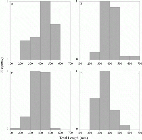 Figure 5  A, Size distributions of male Parapercis colias in the inner fjords (n=39). B, Size distributions of male Parapercis colias in the outer fjords (n=60). C, Size distributions of female Parapercis colias in the inner fjords (n=94). D, Size distributions of female Parapercis colias in the outer fjords (n=44).