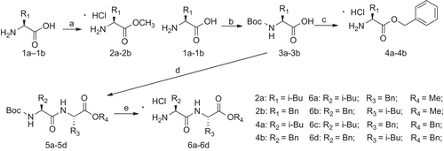 Scheme 1.  Reagents and conditions: a. CH3OH, HCl; b. (Boc)2O, CH3OH, NaOH; c. i) K2CO3, KI, TBAI, benzyl chloride, CH3COCH3; ii) HCl/anhydrous EtOAc; d. EDCI, HOBt/anhydrous, DCM, 2a∼2b,4a∼4b, 0°C to room temperature; e. HCl/anhydrous EtOAc.