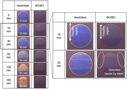 Figure 15. SLIM images obtained from the ball wear tracks of steel–steel and BO–BO tribopairs.