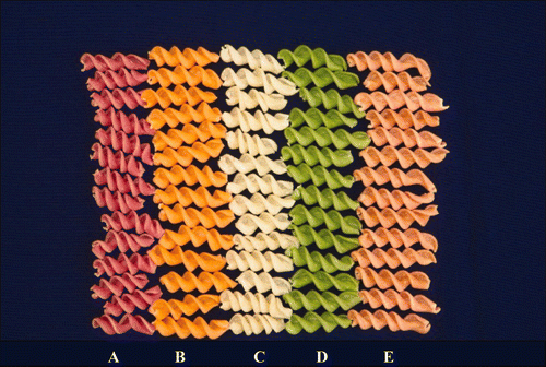 Figure 1. (A) Beetroot pasta; (B) Carrot pasta; (C) Control pasta; (D) Spinach pasta; and (E) Tomato pasta. Figura 1. (A) Pasta de remolacha; (B) Pasta de zanahoria; (C) Pasta de control; (D) Pasta de espinaca y (E) Pasta de tomate.