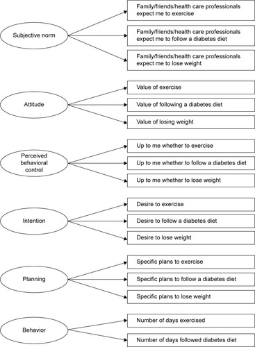 Figure 1 Conceptual framework of DIAB-Q.