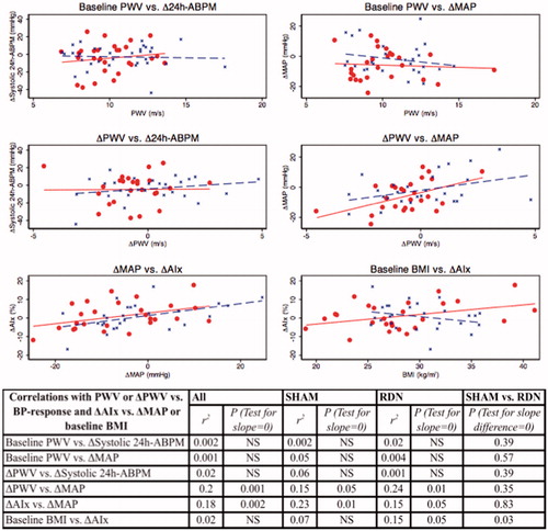 Figure 3. Correlations between baseline PWV or change (Δ = 6 months-baseline) in PWV and BP-response (systolic 24h-ABPM or brachial MAP) and correlations between change in wave reflection (ΔAIx) and ΔMAP or baseline BMI (SHAM = blue; RDN = red).