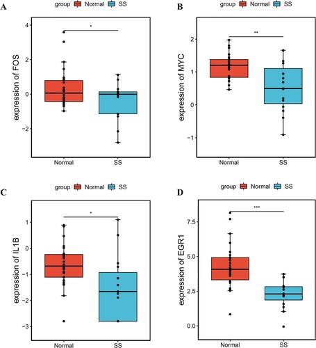 Figure 5. The expression level of hub genes validated by GSE126848. (A) FOS, (B) MYC, (C) IL1B, and (D) EGR1. Red represents normal group and blue represents SS group. * P value < 0.05 and ** P value < 0.01.