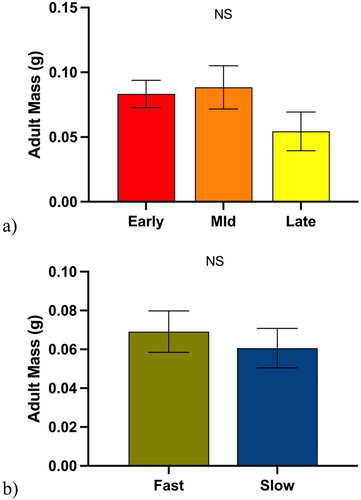 Figure 6. A) Mean adult mass after larvae were exposed to various soybean growth stages for 48 h. Let ‘NS’ denote that there are no significant differences in mean mass as determined by post hoc analysis using Tukey’s test (p=.216). B) Mean adult mass after larvae were exposed to either fast or slow wilting genotypes for 48 h. ‘NS’ denote that there are no significant differences in differences in mean mass as determined by post hoc analysis using student t-test (p=.563).
