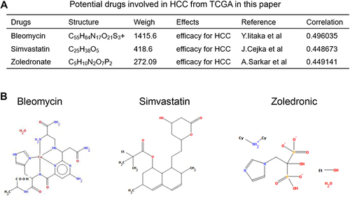 Figure 6 Prediction of the targeted drugs of 7 genes in HCC. (A). Characteristics of 3 potential targeted drugs involved in HCC identified in TCGA. (B). Two-dimensional chemical structure of bleomycin, simvastatin and zoledronate.