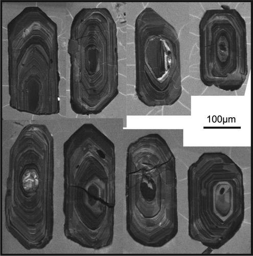 Figure 5. CL images of the zircons extracted from the sample 7000. All grains have oscillatory magmatic zoning and almost inherited old cores. For inherited ages see Table Table 1. U-Pb zircon geochronologic data of the samples.Download CSVDisplay Table1.