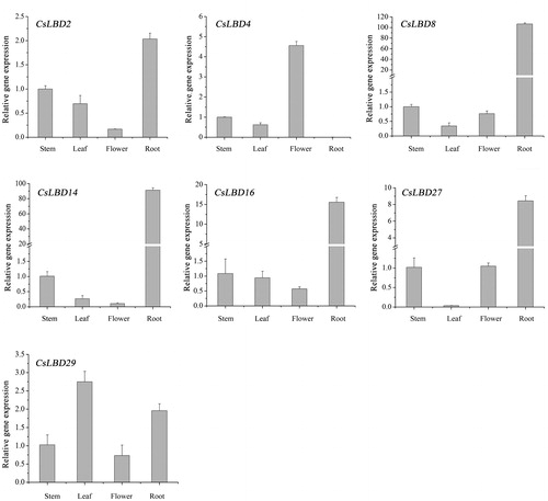Figure 5. Expression profiles of selected CsLBD genes in different tissues of the tea plant cultivar ‘Longjing43’.