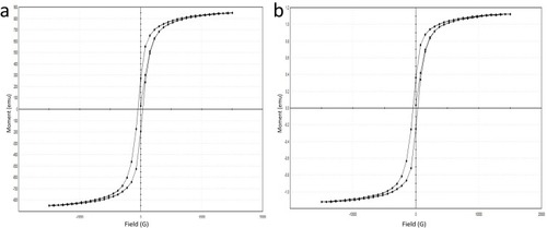 Figure 8 VSM analysis (A) SPIONs, (B) Cs-SPIONs.