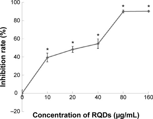 Figure 3 Concentration-dependent effects of RQDs on the cell viability of human endometrial cancer cells JEC.Notes: After treatment of RQDs (10, 20, 40, 80, and 160 µg/mL) for 48 hours, the cell viability was analyzed using the MTT assay. The data are expressed as the mean ± SD of three experiments. *P<0.05 indicates statistically significant differences from the control group.Abbreviations: RQDs, realgar quantum dots; SD, standard deviation.