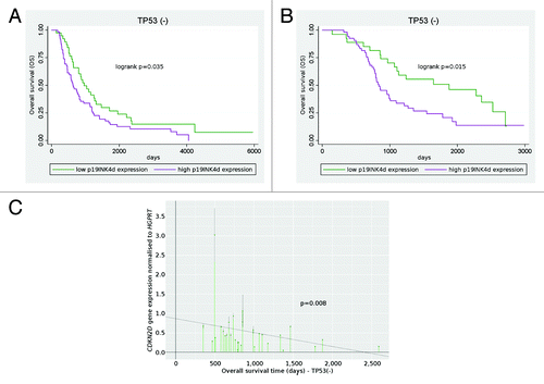 Figure 2. Prognostic significance of p19INK4d (CDKN2D) expression. Patients treated with cisplatin/cyclophosphamide (A) and taxane–platinum (B) regimens with high p19INK4d expression had a significantly worse overall survival than patients with low p19INK4d expression (Kaplan–Meier curve). CDKN2D gene expression at the mRNA level correlated with enhanced risk of death in taxane–platinum-treated group (C).