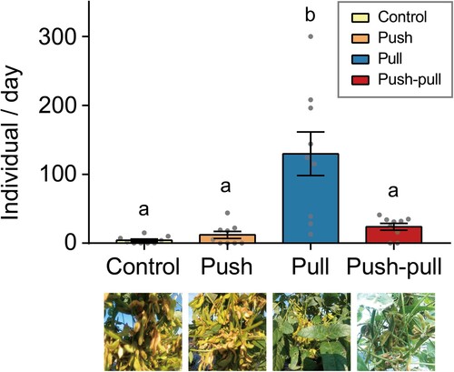 Figure 5. Validation of push–pull strategy by camera trapping. Average number of bean bugs (±SEM) to camera traps in the soybean area of different treatment plots. Experiments were conducted three times for the whole experimental period. The number of captured bean bugs in the soybean area of push–pull plot was remained as low as control and push treatment plots, while was significantly lower than the number of bean bugs in the soybean area of pull plot. Different letters on bars indicate statistically significant differences by Tukey’s post hoc multiple comparisons (P < .05).