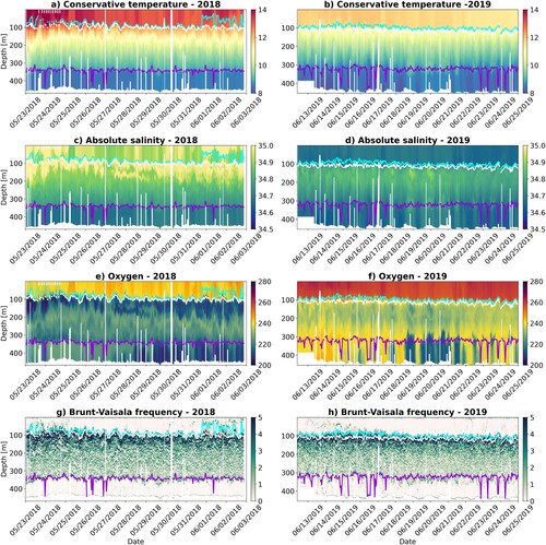 Figure 4. (a, b) Temperature (°C), (c, d) Salinity (g/kg), (e, f) oxygen concentration (μmol/l) and the squared Brunt-Väisälä frequency (s−1) versus time and depth sampled by the ocean glider in May 2018 (left panels) and June 2019 (right panels). The cyan, white and purple lines indicate the mixed layer (ML) depth, depth of the seasonal thermocline and the top of the bottom ML respectively.