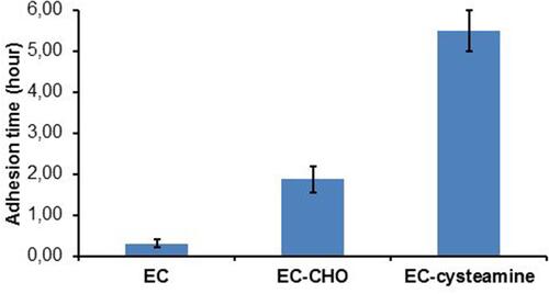 Figure 2 Mucoadhesive properties of EC, EC-CHO and EC-cysteamine; indicated values are means of at least three experiments±SD.