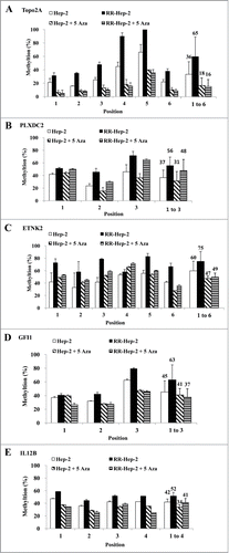 Figure 4. The methylation levels of the 5 target gene promoters following 5-Aza treatment of Hep-2 and RR-Hep-2 cells. Cells were treated with or without 5-Aza (5 μM) for 72 h, and the fractions of methylated CpG sites were compared for (A) TOPO2A, (B) PLXDC2, (C) ETNK2, (D) GFI1 and (E) IL12B. The bars on the far right indicate the means of all methylated positions. The data presented represent a typical result or average values with standard deviations from 3 independent experiments.