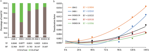 Figure 6. (a) Cd distribution in leaves (green color) and roots (brown color) of five fine aroma cacao genotypes. (b) polynomial regression fitting curves for the root-leaf Cd translocation factor in five cacao genotypes. TF: translocation factor; BF: bioconcentration factor.