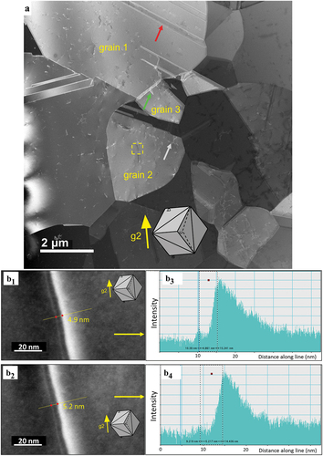 Figure 6. STEM images of the microstructure formed in the CoCrNiN MEA upon deformation to 3% tensile strain. (a) Overview HAADF-STEM image showing FCC grains marked as 1, 2 and 3. The operating diffraction condition in grain 2 was g2 = (2ˉ20). The annealing twin boundary, stacking fault and planar dislocation slip are marked by yellow, green and grey arrows, respectively. The yellow rectangle in grain 2 highlights the area with a dislocation dissociated into Shockley partials, which is displayed in detail in part b of the figure. (b) Contrast of the dissociated dislocation allows the experimental estimation of the dissociation distance between the two partial dislocations. The corresponding stacking fault width changes between 4.9–5.2 nm. The orientation of the grains is represented by the cube in the inset.