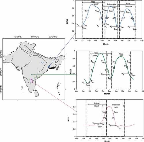 Figure 10. Spectral signatures obtained using MODIS derived NDVI time series data showing crop intensity in South Asia. Temporal NDVI profile and transition dates for three crop seasons are shown. Each peak indicates a crop season (Note: sample size = 10) (Gumma et al. Citation2017; ICRISAT Citation2022).