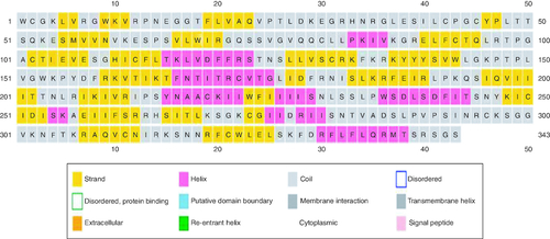 Figure 1. Secondary structure prediction of the RBD region of SARS-CoV-2.