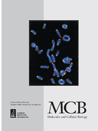 Cover image for Molecular and Cellular Biology, Volume 29, Issue 20, 2009