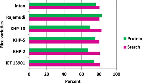 Figure 1. In vitro starch and protein digestibility of expanded rice as percent of total