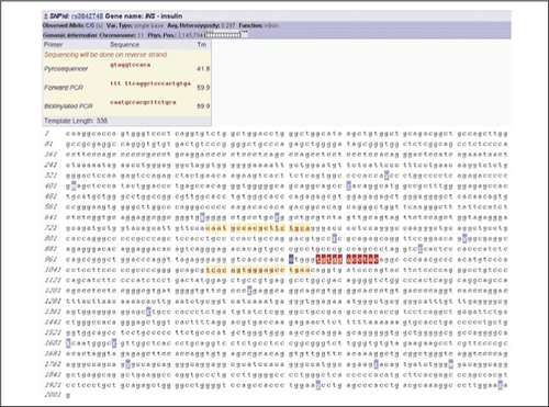 Figure 2. Web interface of the output page of the SOP3primer design application.The primer set was designed for SNP rs3842748 from the human insulin gene. The gene name, SNP reference sequence number, allele description, average heterozygosity value, and location of the SNP are indicated in the upper part of the figure. Primers for Pyrosequencing and PCR, along with the calculated length of the PCR amplification product, are given in the central part of the figure. A nucleotide motif at the 5′ end of the forward PCR primer, separated by a space from the rest of the primer sequence, signifies the modification to the primer sequence to avoid self-priming during Pyrosequencing. In the lower area of the figure, the chromosomal DNA sequence surrounding the SNP is illustrated. The polymorphic residues are shaded blue while primers for PCR and Pyrosequencing are shaded yellow and red, respectively. SNP, single nucleotide polymorphism.