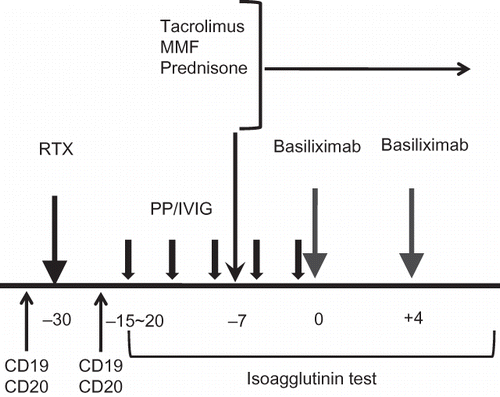 Figure 1. Our center's protocol for ABO-incompatible kidney transplantation (ABO IKT). We used RTX at 30 days before transplantation and started plasmapheresis and intravenous immunoglobulin (PP/IVIG) at 15–20 days before KT. We started immunosuppressants composed of tacrolimus, prednisone, and mycophenolate mofetil at 7 days before KT. CD19- and CD20-cell counts were measured before and at 14 days after RTX infusion. Isoagglutinin test for anti-ABO antibody was checked daily from the start of PP/IVIG to second week from KT.Note: RTX, rituximab; MMF, mycophenolate mofetil; PP/IVIG, plasmapheresis/intravenous immunoglobulin.