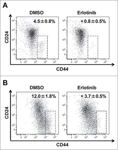 Figure 5. CD44 high expressing CSCs were reduced by erlotinib in organotypic 3D culture. EPC2T cells and OKF6T cells were cultured in organotypic 3D culture system with or without erlotinib (5 μM). Then, tumor cells were isolated from the whole organotypic 3D culture tissue and expression levels of CD24 and CD44 were analyzed by FACS. (*P < 0.05 vs. DMSO control)