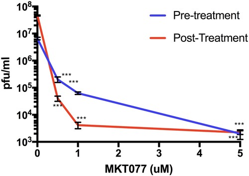 Figure 2. Hsp70 inhibitor MKT077 inhibits infectious ZIKV production. Huh7.5 cells were infected with 0.1 MOI of ZIKV. For the pre-treatment group, Huh7.5 cells were treated with 0.5, 1, and 5 µM MKT077 for 2 h and washed with DMEM before infection with ZIKV. For the post-treatment group, cells were infected with ZIKV, washed, and replenished with medium containing MKT077. Culture supernatants were collected 48 h post-infection. Virus titres in the culture supernatants were analysed by plaque assay. N = 6 per data point. Error bars denote standard error of the mean.