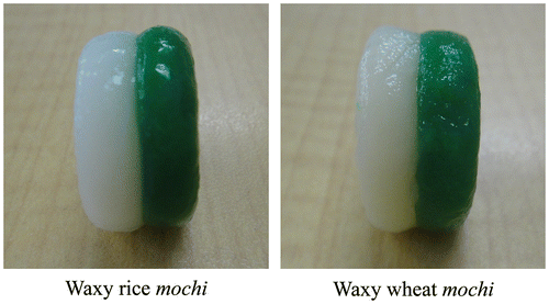Fig. 1. Test food samples.Note: (A) Two-colored molded waxy rice mochi. (B) Two-colored molded waxy wheat mochi. Each test food sample had a diameter of 23 mm, thickness of ≤12 mm, and weight of 5 g.
