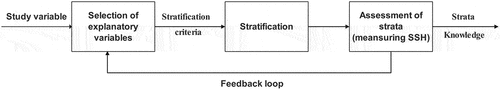 Figure 1. The processing of stratification.