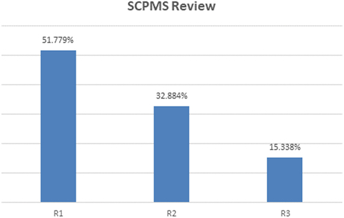 Figure 5. Weight of SCPMS review system (according to Table 15).