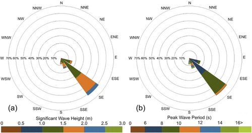 Figure 5. (a) Significant wave heights (HS) and (b) peak period (TP) directional roses, calculated for the wave data collected by the UFPE01 buoy (entire dataset).