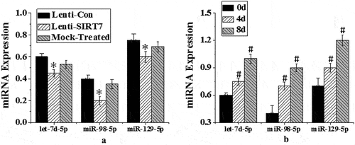Figure 9. Expression changes of different miRNAs in osteogenic differentiation (a. different groups; b. different induced differentiation time; (*: P < 0.05 compared with the control group; #: P < 0.05 compared with that before osteogenic differentiation (0d)).