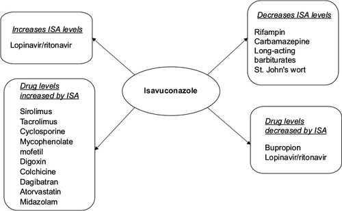 Figure 5 Drug–drug interactions with ISA.