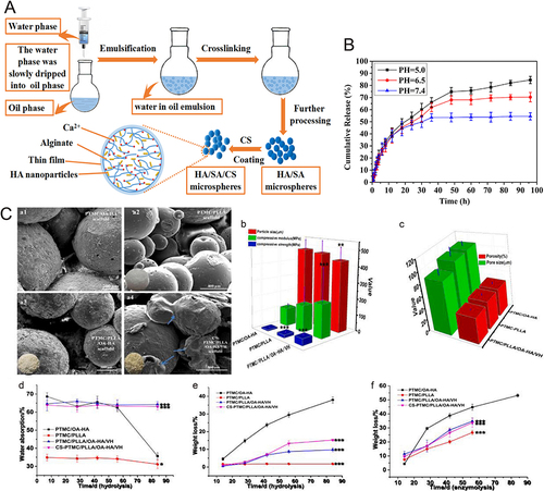 Figure 6 (A) Preparation process of hydroxyapatite/sodium alginate/chitosan (HA/SA/CS) composite microspheres. (B) In vitro drug release curves of HA/SA/CS composite microspheres loaded with DOX at different pH values. (C) Scaffold characteristics: SEM images (a1–a4); compression modulus and compressive strength (b); porosity and pore size (c); water absorption of microspheres (d) and hydrolysis (e) and enzymatic hydrolysis (f) in the degradation cycle (Compared with the control value, *p<0.05, **p<0.01, ***p<0.0001).