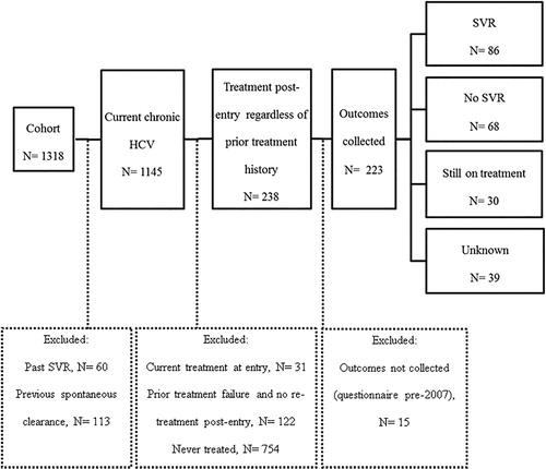 Figure 1. Study flow of participant selection. HCV: hepatitis C virus; SVR: sustained virologic response.