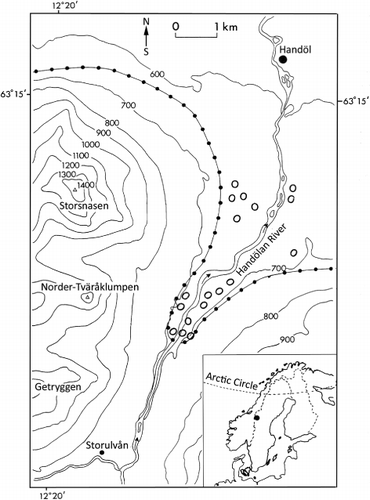 Fig. 1. Location of the study area and the permanent plots (circles) and the pine treeline in the Handölan valley by the early 20th century, according to Kullman (1981) (line with filled black circles)
