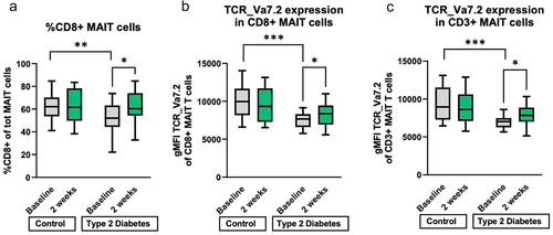 Figure 3. Immunophenotyping PBMC. A. Percentage of CD8+ MAIT cells is at baseline higher in the control group and increases during two weeks of histidine in the type 2 diabetes group. B. the expression (geometric mean fluorescence intensity) of the MAIT cell specific T cell receptor (TCR Va7.2) is higher at baseline in the control group than in the T2D group in CD8+ MAIT cells. After two weeks of histidine supplementation is the T cell expression in the T2D group also increased compared to baseline. C. the expression (geometric mean fluorescence intensity) of TCR Va7.2 on total MAIT T cells is decreased in T2D at baseline and increased after oral histidine in the T2D group. T2D: type 2 diabetes. T2D: n = 20. Control n = 19. *p < 0.05, **p < 0.01, ***p < 0.001. Paired non-parametric t test. MAIT: mucosa associated invariant T cell. PBMC: peripheral blood monocyte cells. gMFI: geometric mean fluorescent intensity. TCR: T cell receptor.