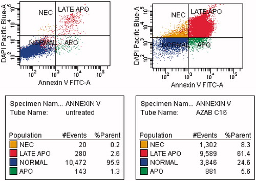 Figure 3. MDA-MB-231 breast cancer cell line was treated with compound 31 (right panel), which displayed an increased percentage of fluorescein isothiocyanate annexin V (Annexin V–FITC), and untreated control cells (left panel).