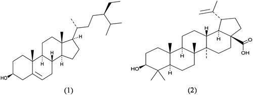 Figure 2. Structures of compounds 1–2. 1 (β-sitosterol), 2 (Betulinic acid).