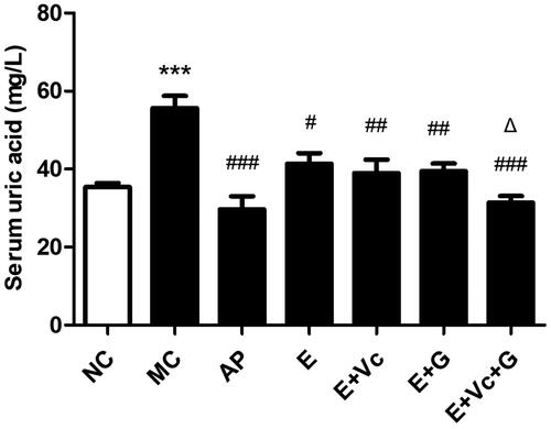 Figure 4. Effect of EGCG combined with Vc and glycerol on serum UA in the hyperuricemic mice. Values are means ± SE (n = 6). ***p < 0.001 when compared with the NC group; #p < 0.05, ##p < 0.01, ###p < 0.001 when compared with the MC group. Δp < 0.05 when compared with the E group.