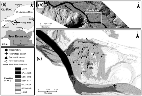 Figure 1. Location maps for (a) the Matane River basin, Québec, Canada; (b) the study site within the coarse sand/gravelly floodplain; and (c) the piezometers within the study site. The names of the piezometers reflect the perpendicular distance (in m) from the Matane River. The river stage sensor and the automatic camera are indicated. asl: above sea level.