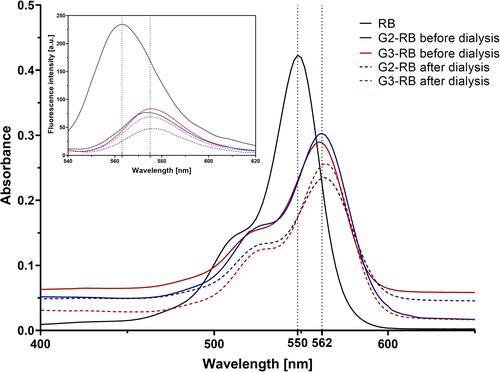 Figure 4 Changes in fluorescence and absorbance spectra of RB after encapsulation within dendrimersomes. The measurements of absorbance and fluorescence intensity were carried out for the tested compounds at RB concentrations of 5 and 1 μM, respectively.
