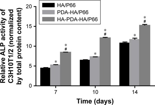 Figure 9 Quantification of ALP activity on the substrates after osteogenic induction for 7, 10, and 14 days.Notes: ALP activity was normalized to the corresponding total protein content. *Significant difference compared with HA/P66 (P<0.05). #Significant difference compared with PDA-HA/P66 (P<0.05).Abbreviations: HA/P66, hydroxyapatite/polyamide 66; PDA, polydopamine; PDA-HA/P66, polydopamine coating on hydroxyapatite/polyamide 66; HA-PDA-HA/ P66, hydroxyapatite coating formation on hydroxyapatite/polyamide 66 assisted by polydopamine.