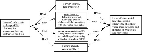 Figure 1. Dual stage moderated mediation model (research framework).