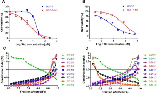 Figure 1 The cytotoxicity of SAL and DTX in MCF-7 cells and MCF-7-MS. The concentration-dependent cytotoxicity induced by SAL (A) and DTX (B) in MCF-7 cells and MCF-7-MS at 48 h. In vitro screening of SAL and DTX for synergy in MCF-7 cells (C) and MCF-7-MS (D) as a function of the SAL/DTX ratio and drug concentrations. Fraction affected means the fraction of the cell that was killed. CI values of < 1, = 1, and > 1 indicate synergy, additivity, and antagonism, respectively. Data are presented as means ± standard deviations (n = 3).