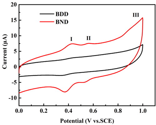 Figure 4. CVs on the BND electrode (red line) and BDD electrode (black line) in pH 2.0 buffer solution containing 100 μmol L−1 aniline. The scan rate is 0.3 V s−1.